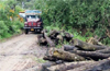 NGT pulls up green ministry, Karnataka over Yettinahole